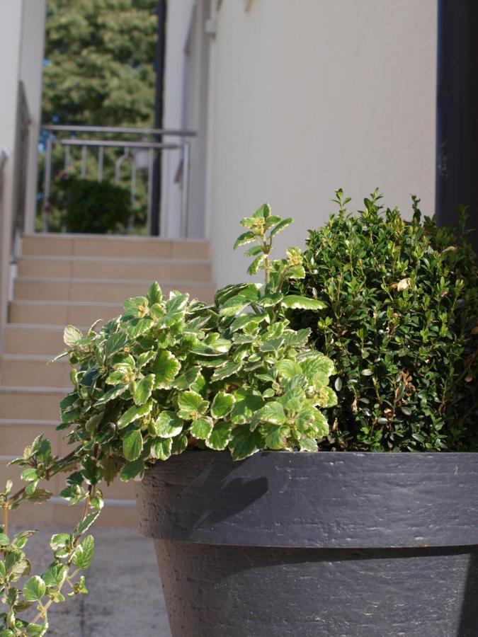 Apartments Mirasol 乌马格 外观 照片